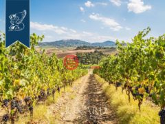 意大利TuscanyMontepulciano的公寓，编号76104954