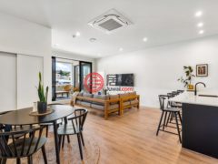 新西兰纳皮尔的独栋别墅，2/64 Dickens Street Napier South，编号76435163