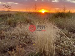 美国德克萨斯州Marfa的农场，Tract 3 Ranch Road 2810，编号73361486