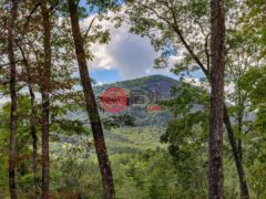 美国北卡罗莱纳州卡什尔斯的独栋别墅，261 Rock Face Trail，编号77551418