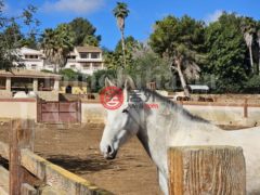 西班牙Balearic IslandsSant Antoni de Portmany的公寓，Sant Rafel de Sa Creu，编号76410525
