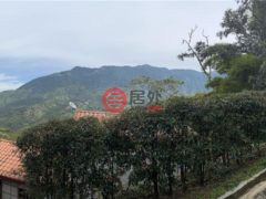 哥伦比亚安蒂奥基亚Cocorná的住宅用地，None Vereda La Placeta Vereda la Placeta COCORNA Antioquia Colombia，编号76802009